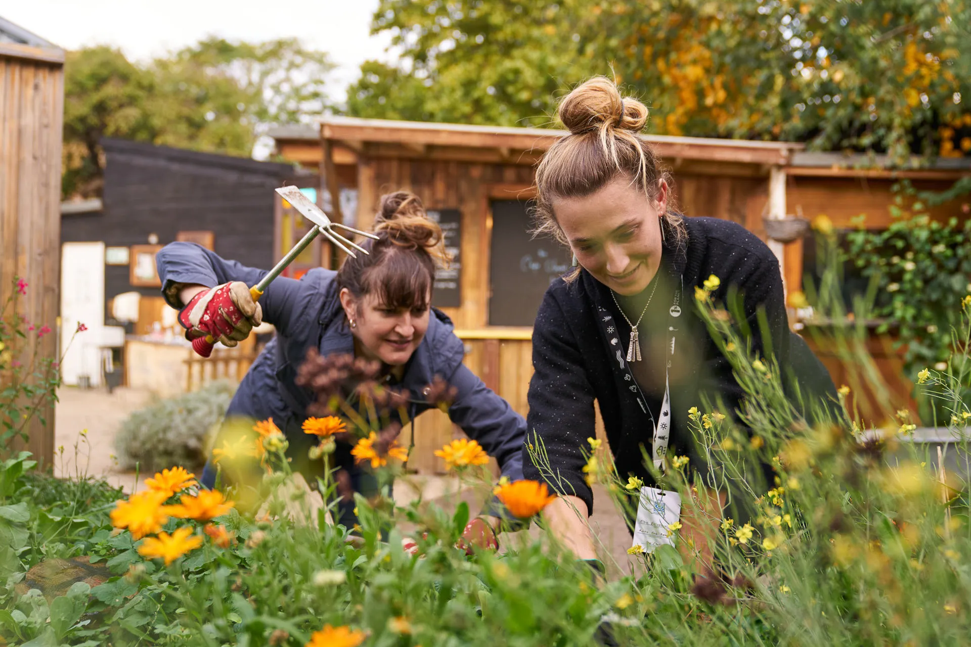 1% percent for the plate