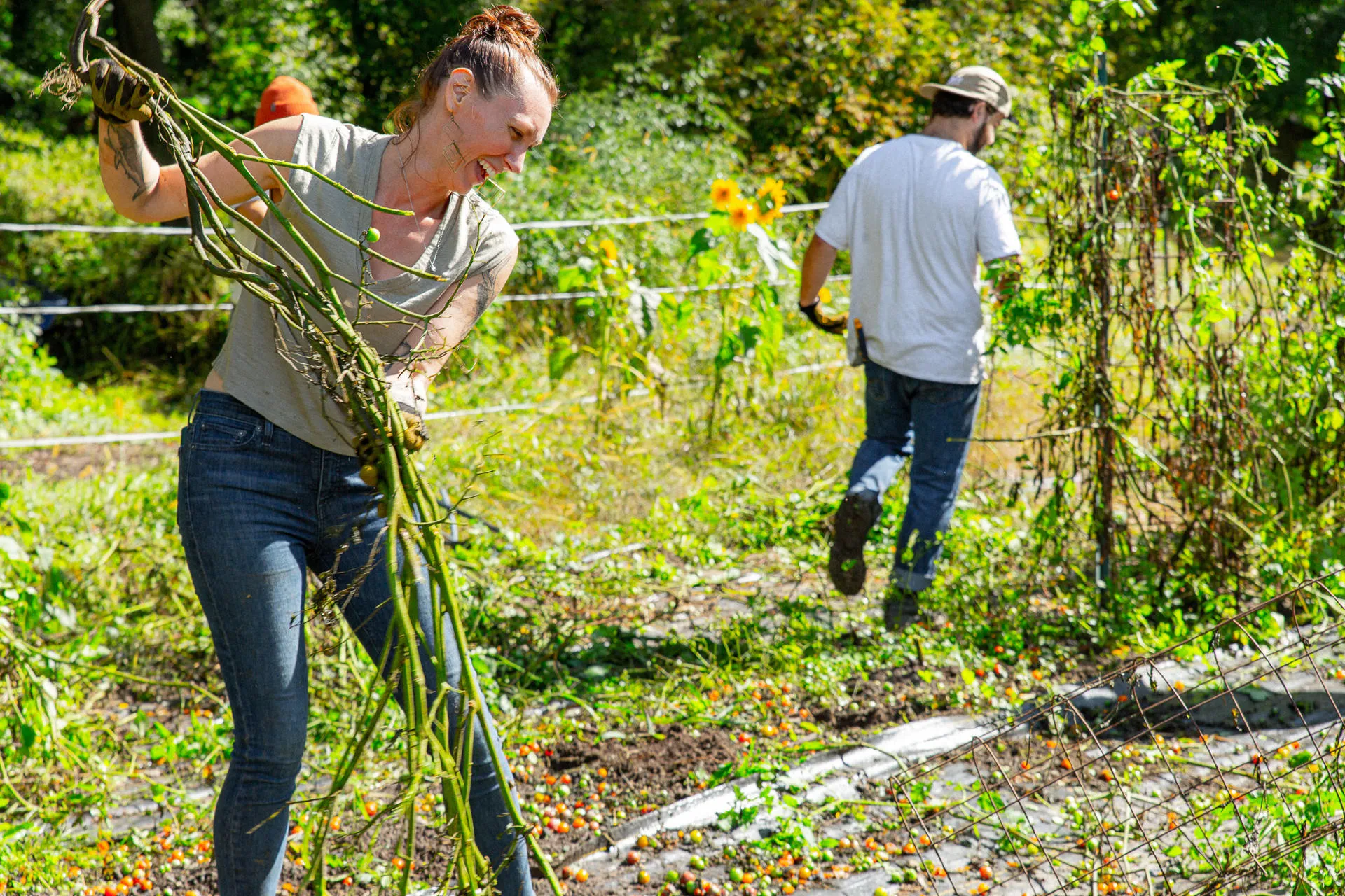 1% percent for the plate