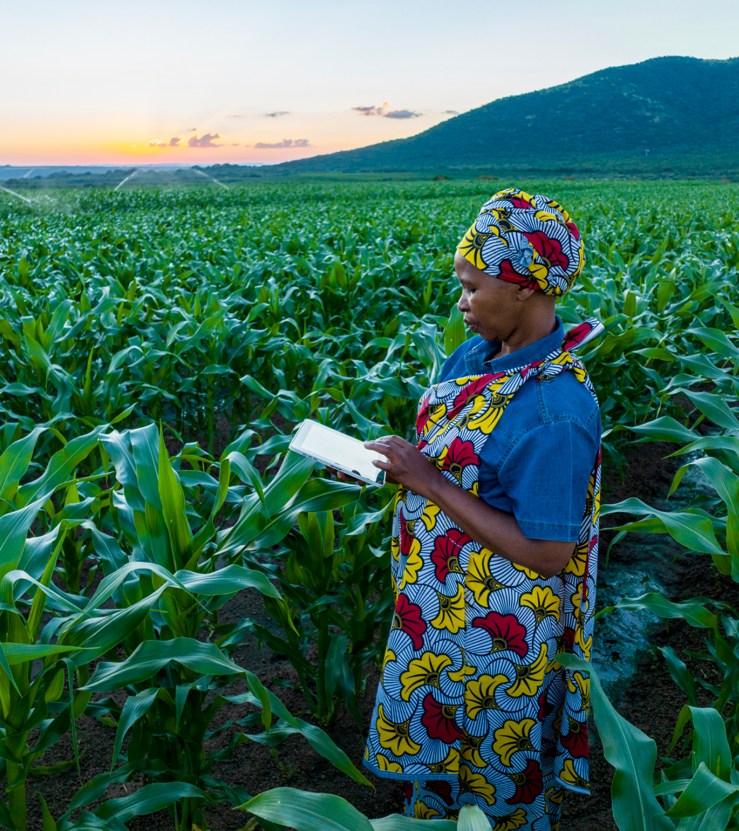 women-in-field-on-ipad