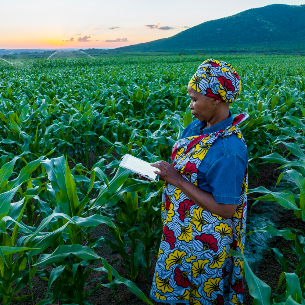 women-in-field-on-ipad
